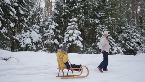 happy-woman-and-her-little-son-are-having-fun-in-forest-mother-is-pulling-sledge-with-child